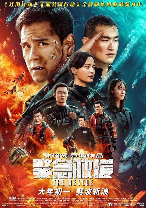 本科学位证书编号和学历证书编号一样吗